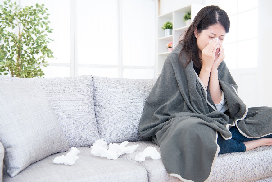 how mold spreads through ducts