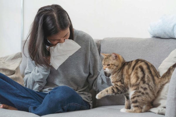 pets and poor air circulation
