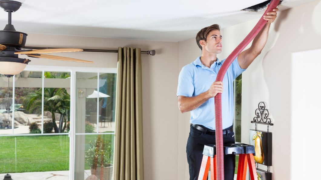keeping your home allergy-free