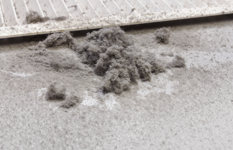 Allergies from Air Duct