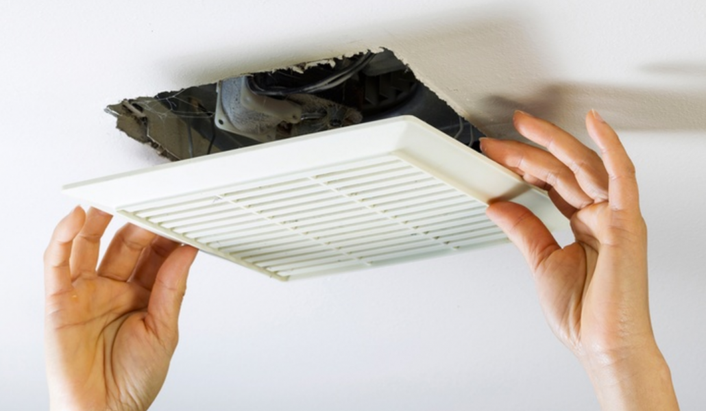 removing insects from furnace ducts