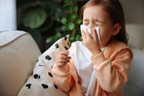 air conditioning and allergies Air Conditioning and Allergies: What You Need to Know