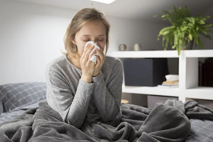 common allergens in duct systems Common Allergens in Duct Systems and How to Remove Them