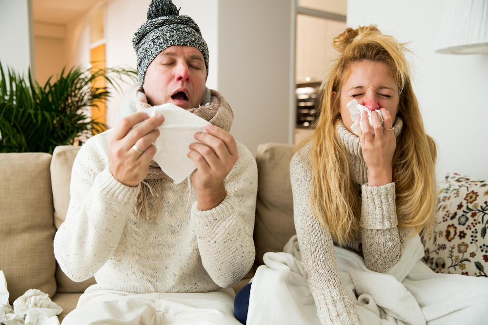 indoor mold detection tips Indoor Mold Detection Tips for Homeowners