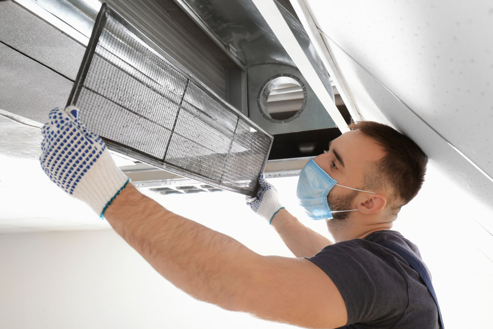 impact of pets on HVAC dust The Impact of Pets on HVAC Dust and Dander Levels